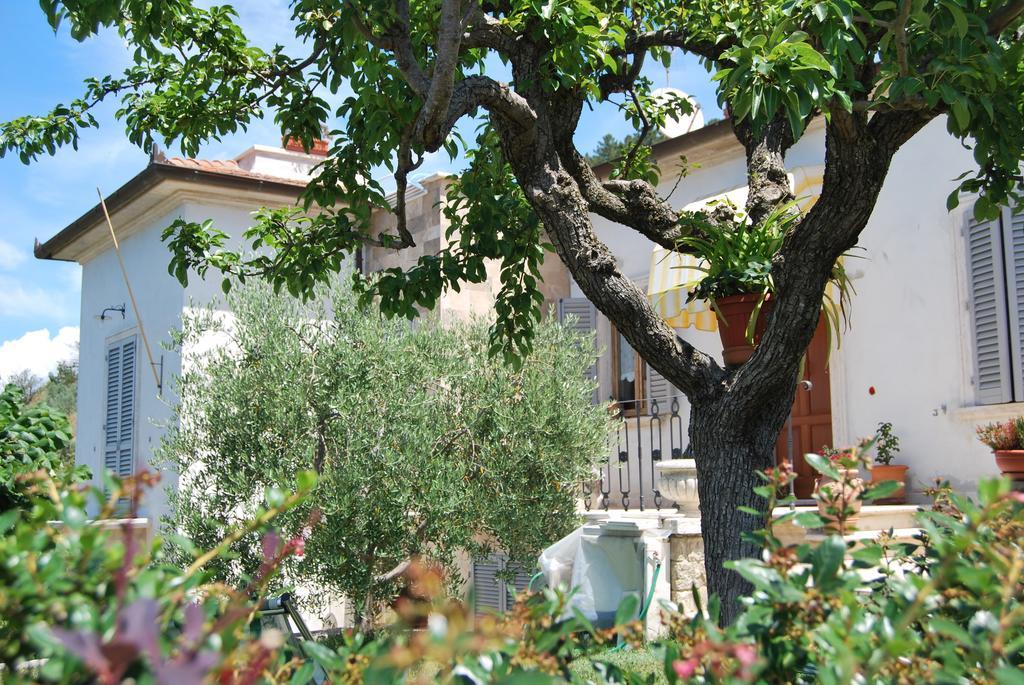 Bed And Breakfast Il Cappero Rapolano Terme Zewnętrze zdjęcie